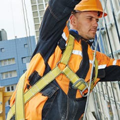 Harnesses