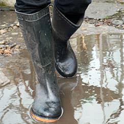 Foot Protection