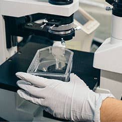 Cleanroom Gloves