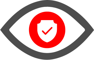 Icon of an eye with a shield and check mark in the pupil