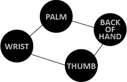 Graphic displaying the different features of custom PPE: wrist, palm, back of hand, thumb