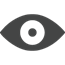 Icon of an eye