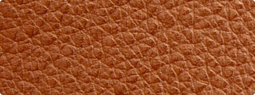 Image of Grain Leather