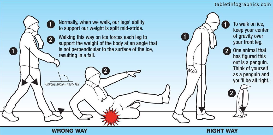 Walk Like a Penquin Infographic